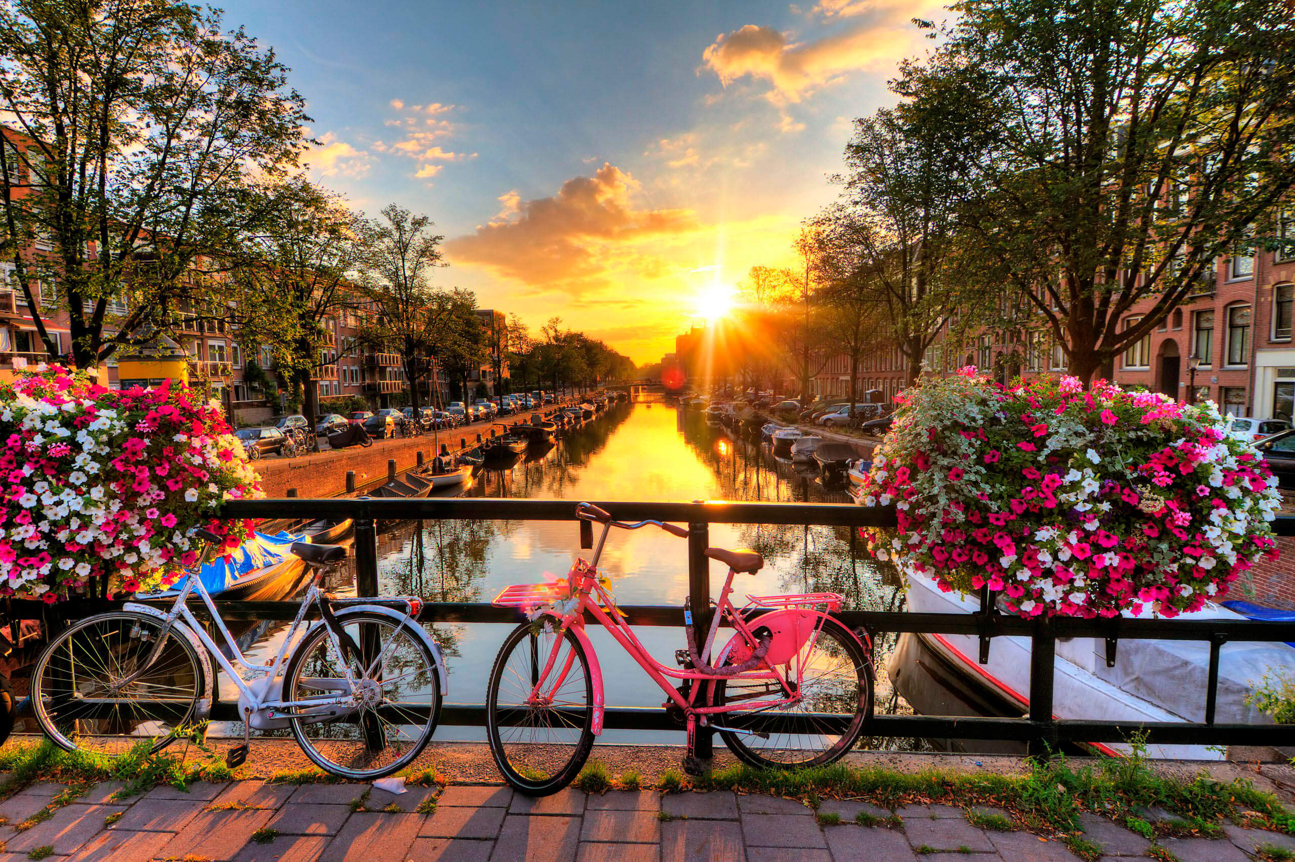 Beautiful,Sunrise,Over,Amsterdam,,The,Netherlands,,With,Flowers,And,Bicycles