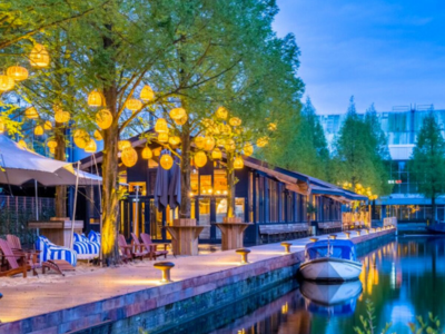 Untitled design (17)